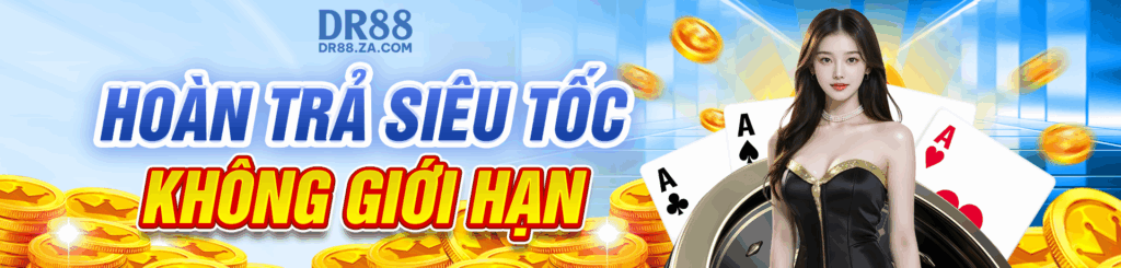 hoàn trả dr88