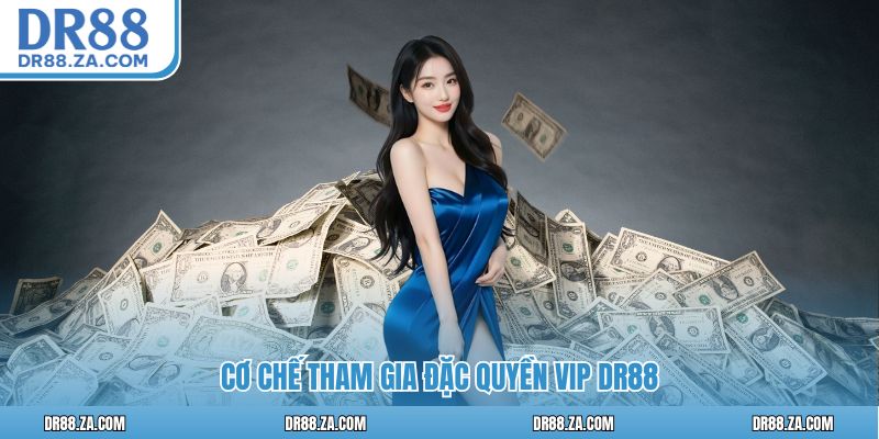 Cơ chế tham gia đặc quyền VIP DR88