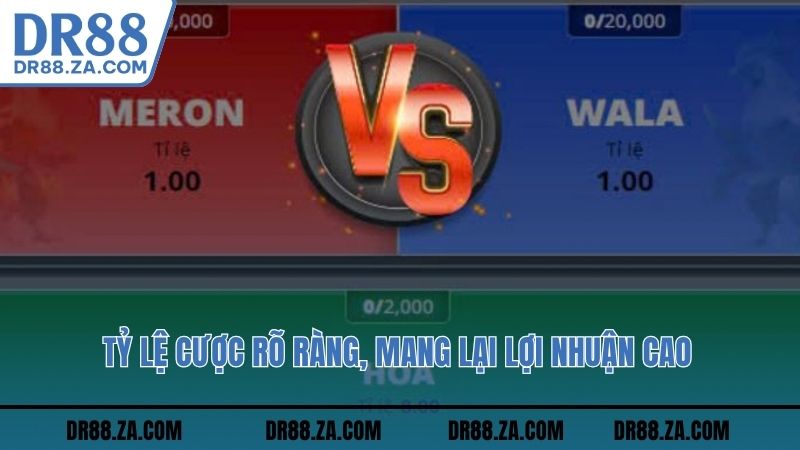 Tỷ lệ cược rõ ràng, mang lại lợi nhuận cao