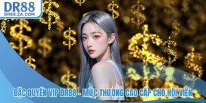 Đặc quyền VIP DR88