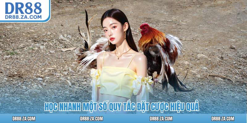 Học nhanh một số quy tắc đặt cược hiệu quả